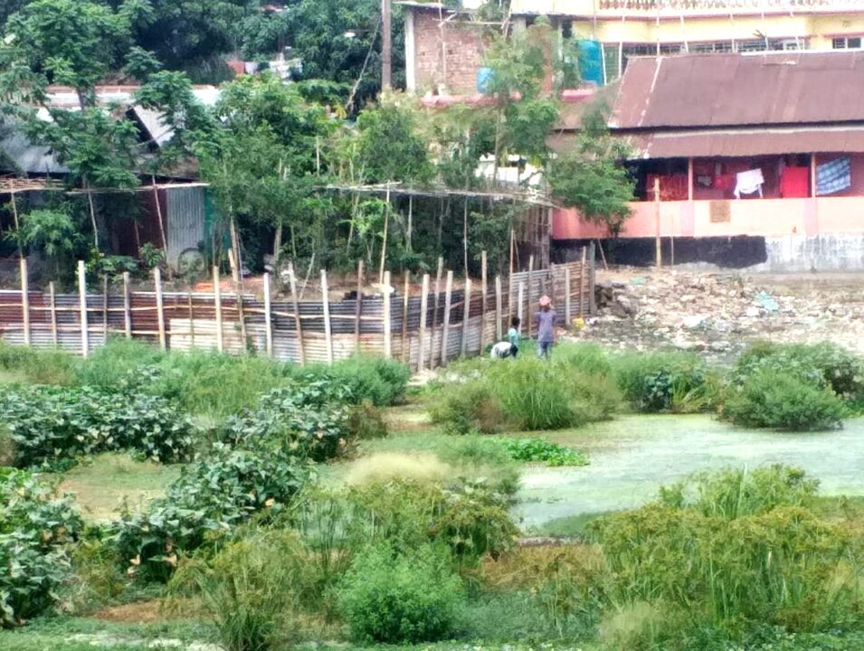 কুমিল্লার আড়াইশ বছরের পুরনো হাতি পুকুর ভরাট, অতঃপর মামলা