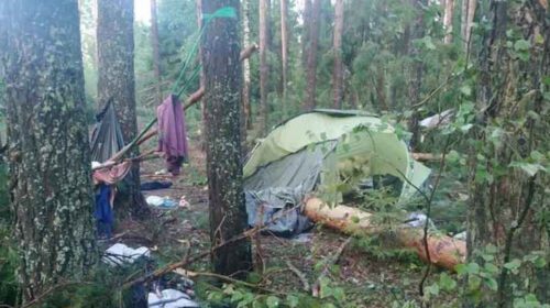 গাছ ভেঙে পড়ে প্রাণ গেল ৮ জনের