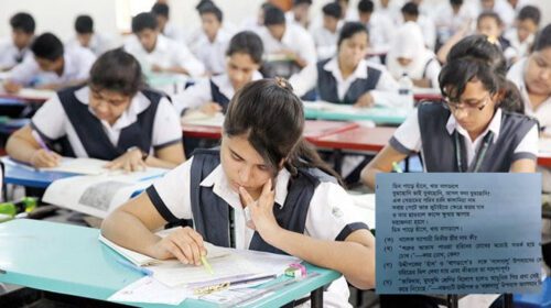 ‘ডিম পাড়ে হাঁসে, খায় বাগডাশে’ কুমিল্লা বোর্ডের বাংলা প্রশ্ন নিয়ে আলোচনা-সমালোচনা