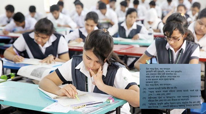‘ডিম পাড়ে হাঁসে, খায় বাগডাশে’ কুমিল্লা বোর্ডের বাংলা প্রশ্ন নিয়ে আলোচনা-সমালোচনা