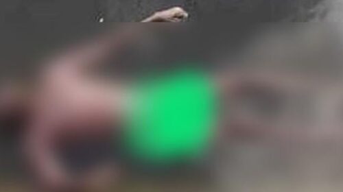 কুমিল্লার মুরাদনগরে অজ্ঞাত ব্যক্তির মরদেহ উদ্ধার