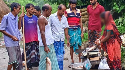 সংসারের হাল ধরতে হেঁটে মাছ বিক্রি করেন অন্তঃসত্ত্বা গৃহবধু