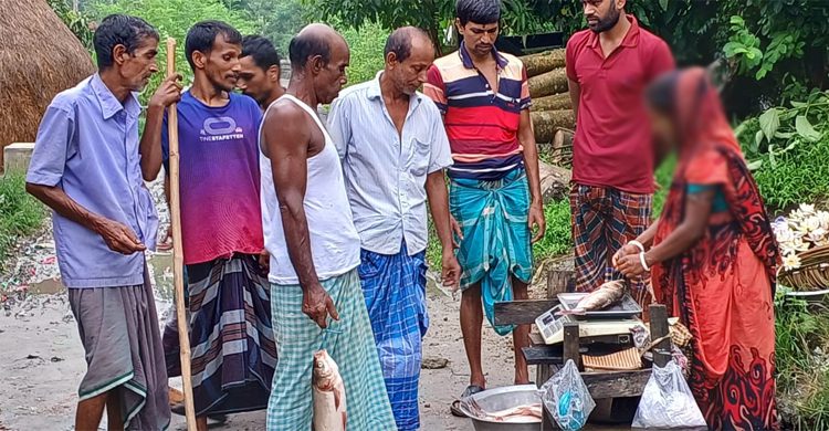 সংসারের হাল ধরতে হেঁটে মাছ বিক্রি করেন অন্তঃসত্ত্বা গৃহবধু