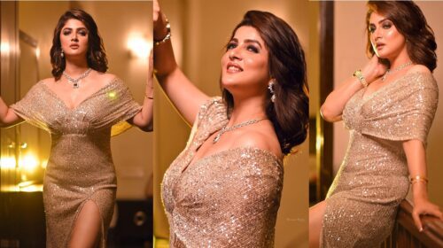 খোলামেলা রূপে জন্মদিনের কেক কাটলেন শ্রাবন্তী