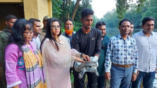 কুমিল্লা থেকে বিলুপ্ত প্রজাতির ৪৫টি কচ্ছপ উদ্ধার করে গাজীপুরে অবমুক্ত
