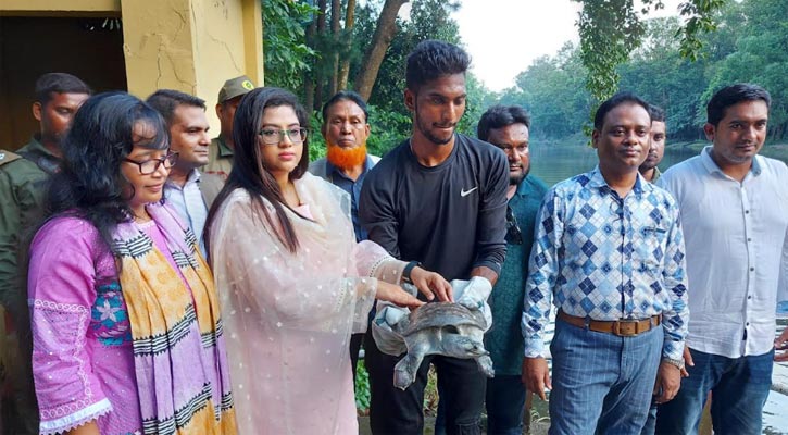 কুমিল্লা থেকে বিলুপ্ত প্রজাতির ৪৫টি কচ্ছপ উদ্ধার করে গাজীপুরে অবমুক্ত