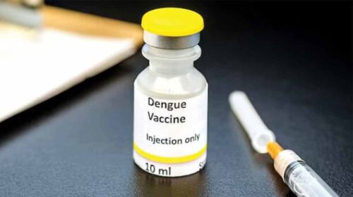 প্রথমবারের মতো দেশে ডেঙ্গু টিকার সফল পরীক্ষা