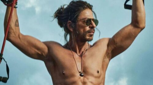 শুধু রাতে আর দুপুরে খান বলিউড বাদশাহ শাহরুখ, তবে কী খান?