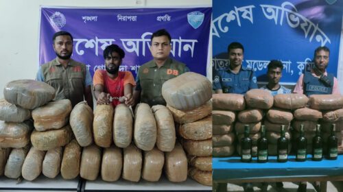 কুমিল্লায় পৃথক দুটি অভিযানে গাঁজাসহ ২ মাদক ব্যবসায়ী গ্রেফতার
