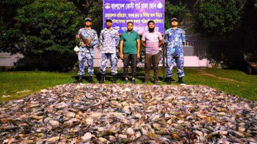 চাঁদপুরে কোস্টগার্ডের অভিযানে জেলিযুক্ত চিংড়ি জব্দ