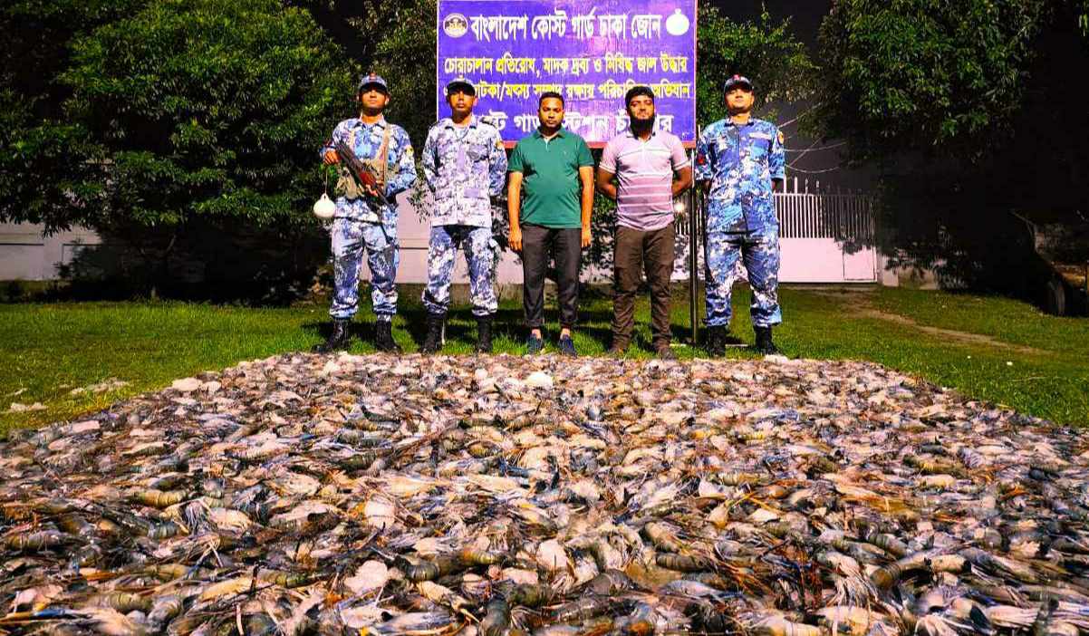 চাঁদপুরে কোস্টগার্ডের অভিযানে জেলিযুক্ত চিংড়ি জব্দ