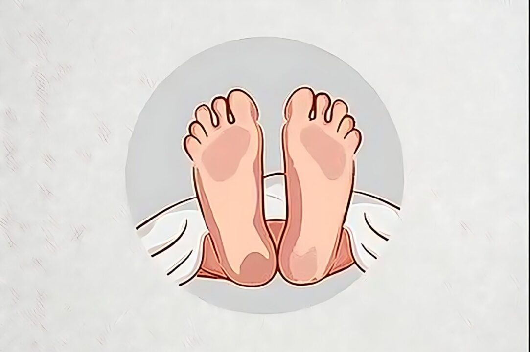 কুমিল্লার মুরাদনগরে সবজি বাগান থেকে ব্যবসায়ীর মরদেহ উদ্ধার