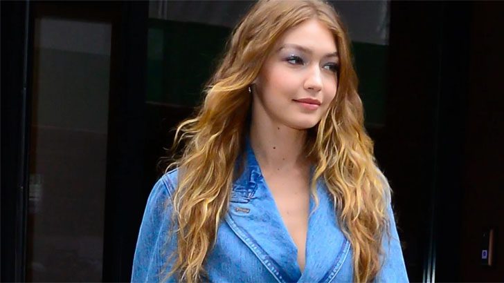 ফিলিস্তিনিদের প্রতি সমবেদনা জানালেন মডেল জিজি হাদিদ