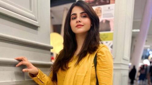 পাকিস্তানের সেই অভিনেত্রী বাংলাদেশের হার নিয়ে যা বললেন