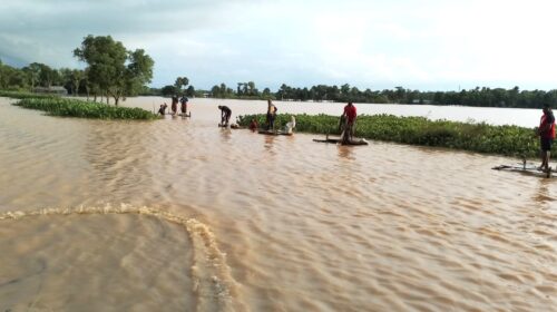 কুমিল্লায় মৎস্যখাতে