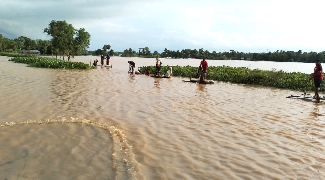 কুমিল্লায় মৎস্যখাতে