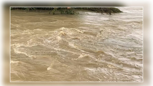 গোমতীর পানি