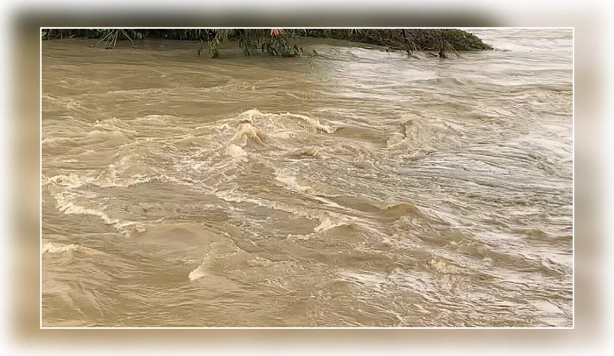 গোমতীর পানি