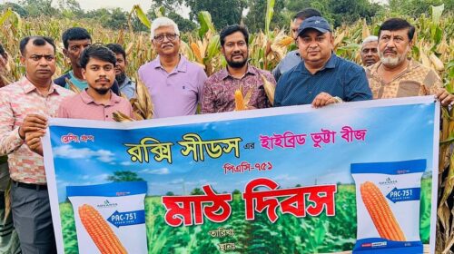 কুমিল্লার তিতাসে রক্সি সীডসের হাইব্রিড ভুট্টার মাঠ দিবস অনুষ্ঠিত